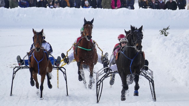 色执行都展 色执行都展